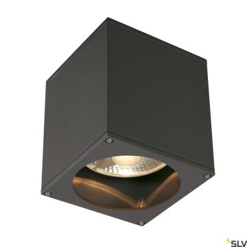 SLV THEO 229555 Lubų šviestuvas 1x75W/GU10/ES111 IP44