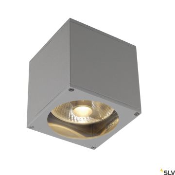 SLV THEO 229564 Sienos lempa 1x75W/GU10/ES111 IP44