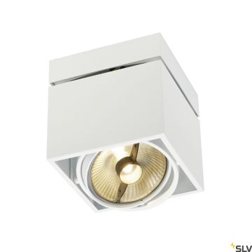 SLV KARDAMOD 117101 Lubų šviestuvas 1x75W/GU10/ES111 IP20