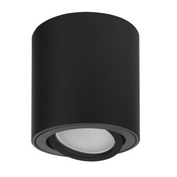 SMD LED CARLA SPOT4670SLL Lubų šviestuvas 1x35W/GU10 IP20