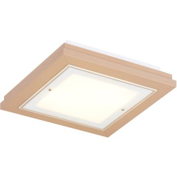 Argon TABOR 7267 Stropo šviestuvas 2x15W/E27 ip20