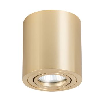 Light Prestige Tulon LP-5441/1SM GD Lubų šviestuvas 1x8W/GU10 IP20