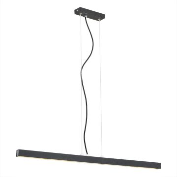 Argon VERMONT 3950 Pakabinama lempa 1x18W/LED 3000K 1440LM IP20