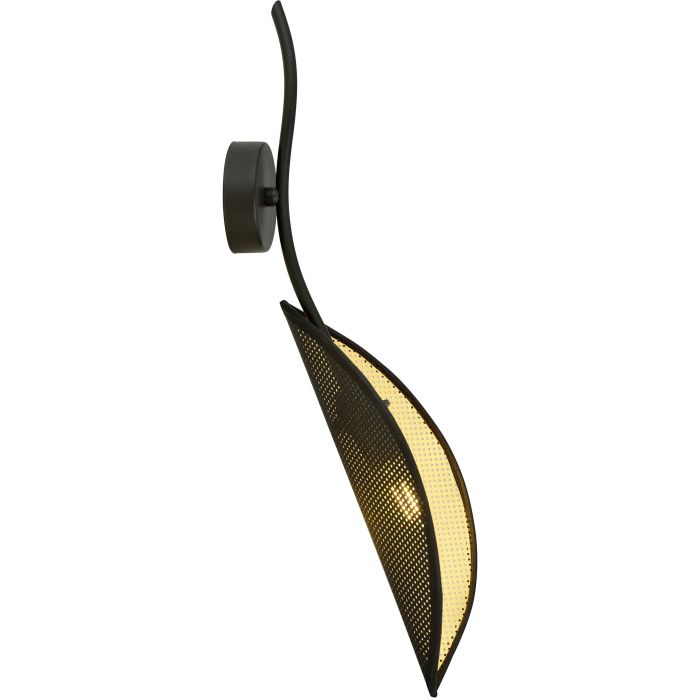 Emibig-LOTUS-1106/K1-EMI1106/K1