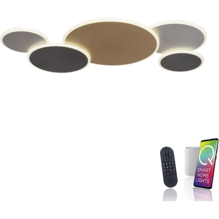 Paul Neuhaus-Q-PIATO-8008-70-PLN8008-70