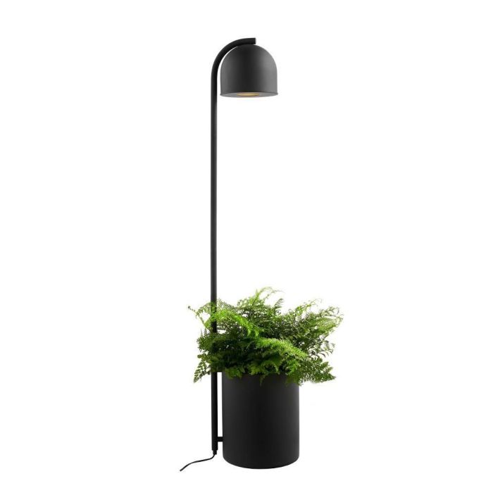 Kaspa-BOTANICA XL-40849102-KAS40849102