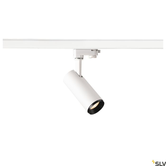 SLV-3~ NUMINOS® PHASE S-1004080-SPL1004080